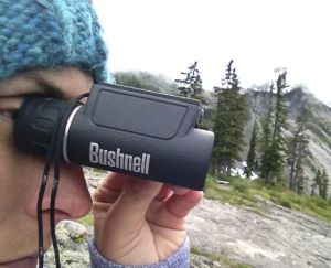 bushnell powerview 10x25 uso